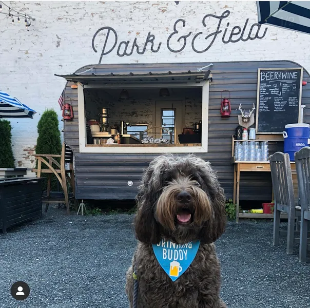 Dog-Friendly Restaurants Park & Field