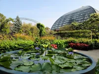 Top 12 botanical gardens in Chicago