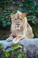 Best of 12 zoos in Lincoln Park Chicago