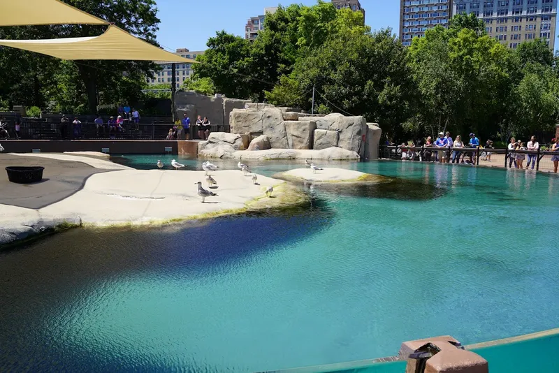 zoos Kovler Seal Pool