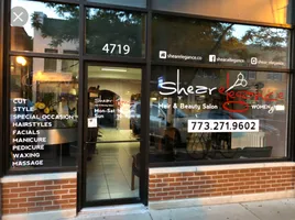 Top 19 hair salons in Lincoln Square Chicago