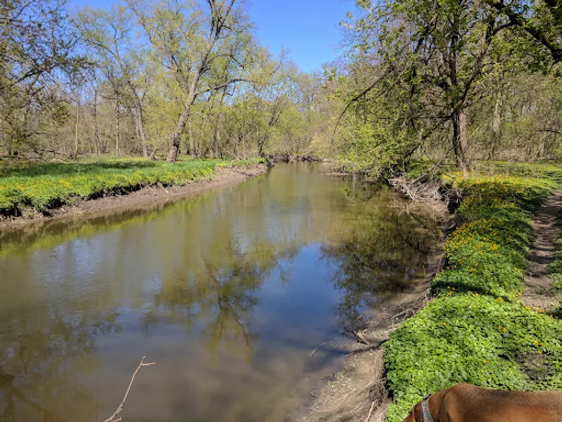 kid-friendly hiking trails Forest Glen Woods