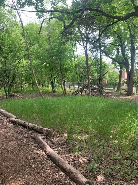 kid-friendly hiking trails Walking Stick Woods Natural Area