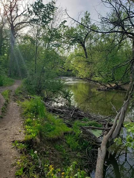 kid-friendly hiking trails LaBagh Woods