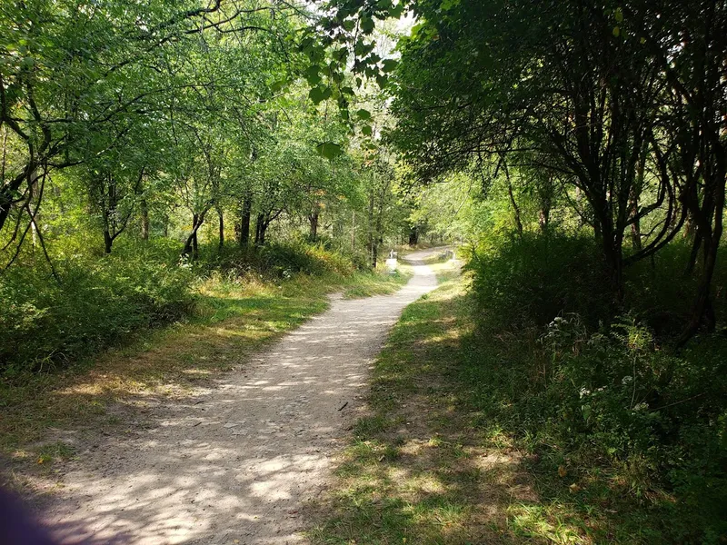 kid-friendly hiking trails Schiller Woods