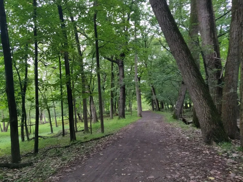 kid-friendly hiking trails Catherine Chevalier Woods