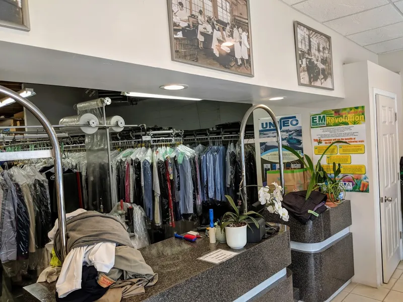 dry cleaning All Pro Cleaners