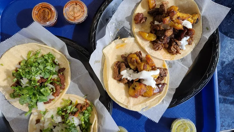 Tacos restaurants El Rey Taqueria in Washington Avenue Coalition