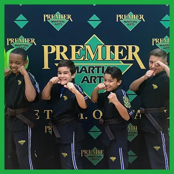 Martial Arts Classes Premier Martial Arts Kingwood