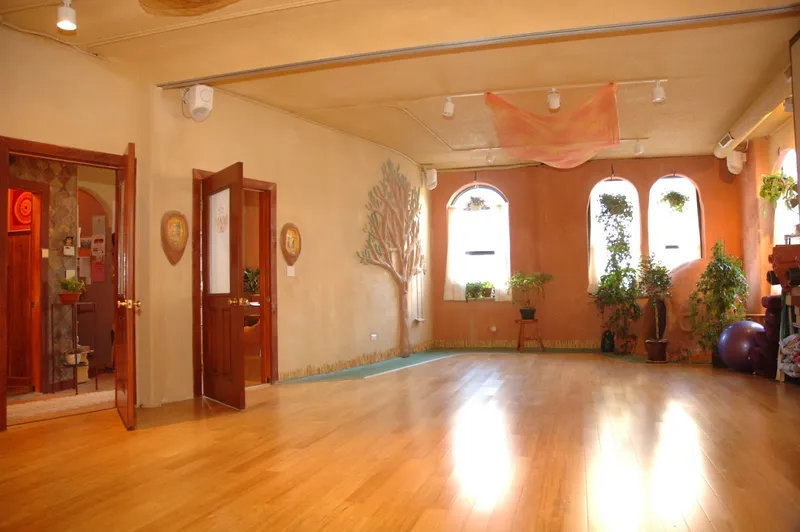 yoga classes Eb and Flow Yoga Studio