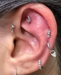 Top 26 piercing shops in Houston