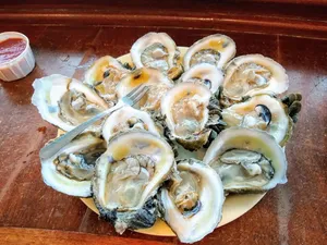 oysters in Houston