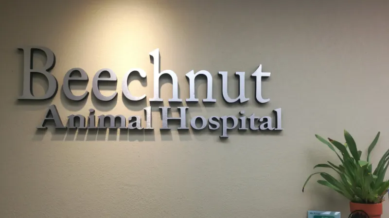 Beechnut Animal Hospital