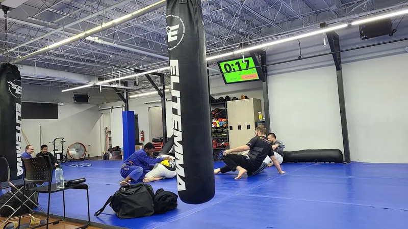 gyms Elite Mixed Martial Arts - Greenway Plaza/Galleria