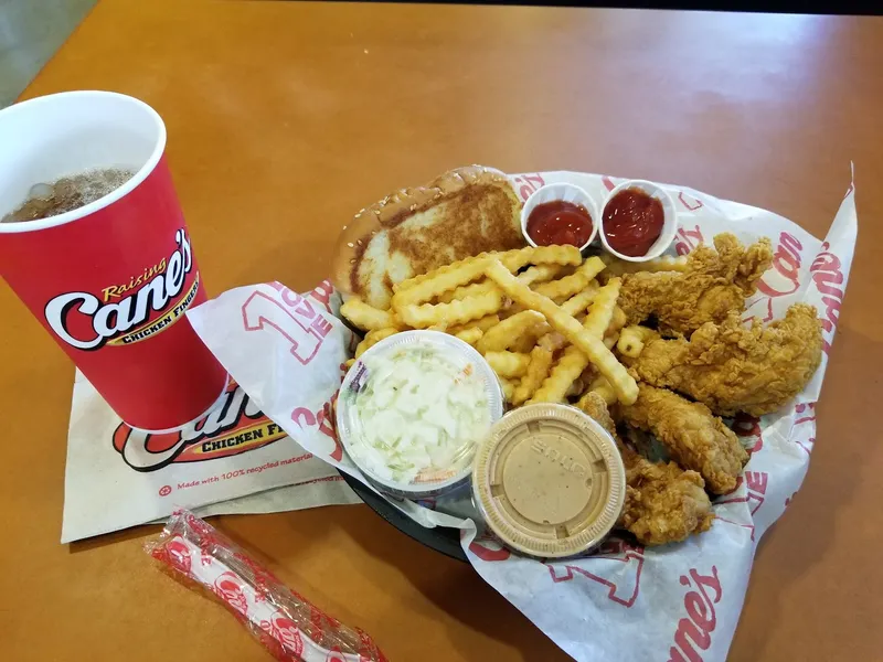 French Fries Raising Cane's Chicken Fingers in Montrose