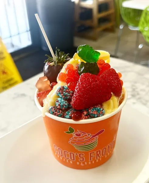 Coco’s Froyo Frozen Dessert Shop