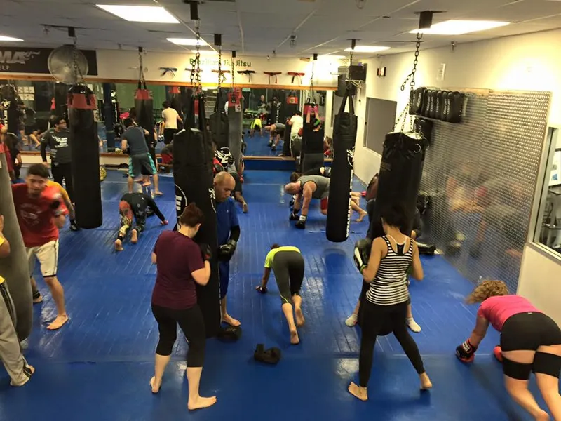 kickboxing classes Elite Mixed Martial Arts - Westchase