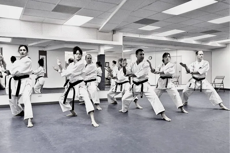Japan Karate Association of Chicago Sugiyama Dojo