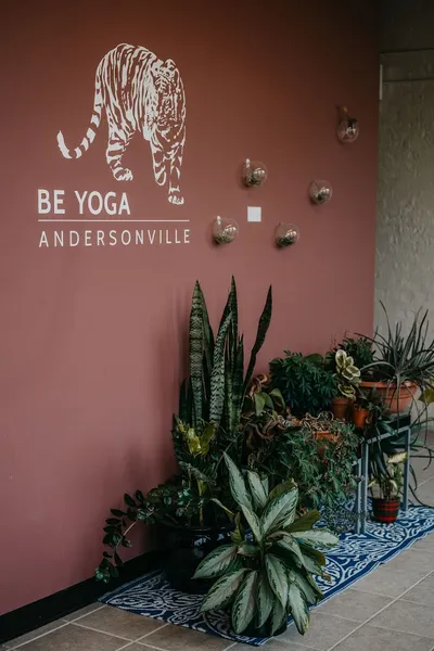 meditation classes Chicago Hot Yoga