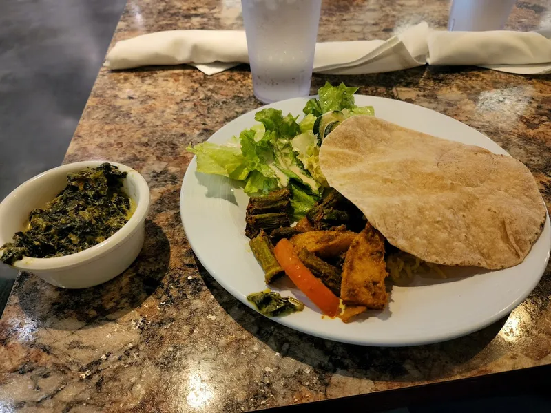 dosa Govinda's Vegetarian Cuisine