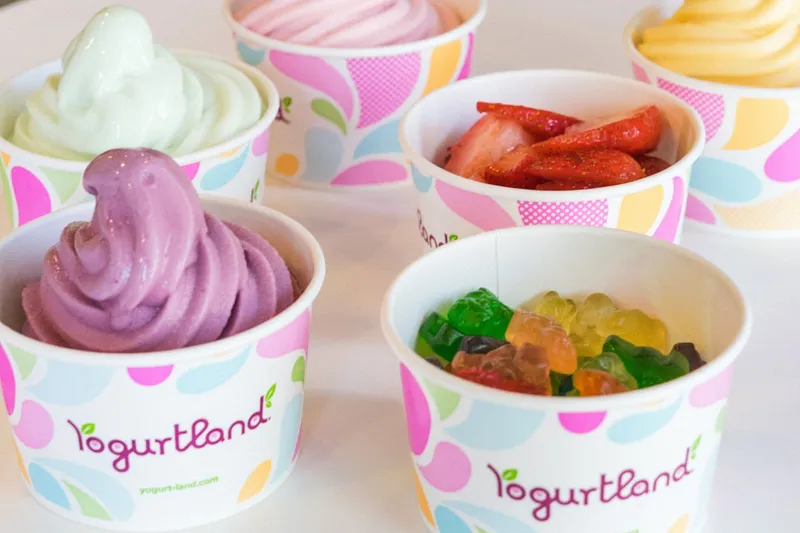 frozen yogurt Yogurtland Houston