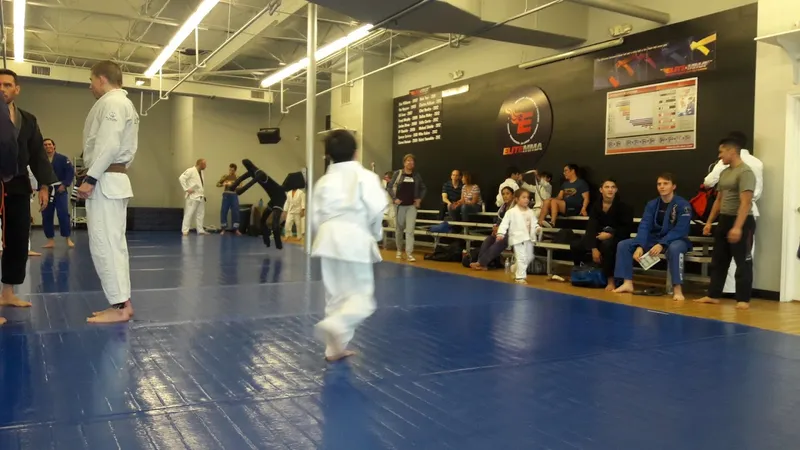 Jiu Jitsu Classes Elite Mixed Martial Arts - Westchase