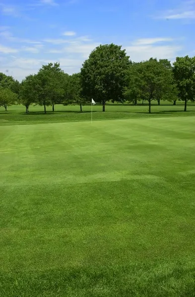 golf lessons Billy Caldwell Golf Course