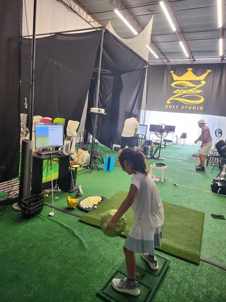 golf lessons Z. Max Golf Studio