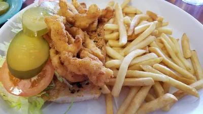 Best of 13 calamari in Alief Houston