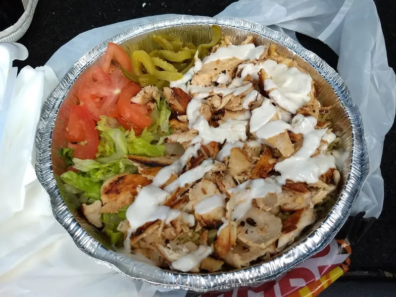 gyro Abu Omar Halal - Medical Center, TX