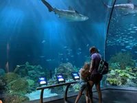 Best of 19 Things to do with kids in Chicago