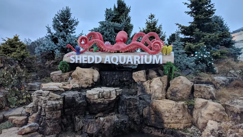 Kid-Friendly day trips Shedd Aquarium