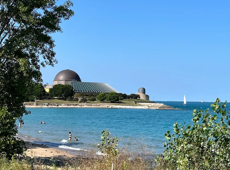 Kid-Friendly day trips Adler Planetarium