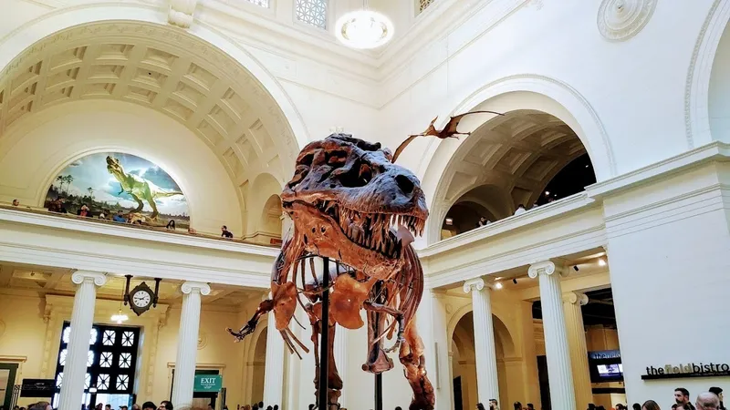 Kid-Friendly day trips Field Museum