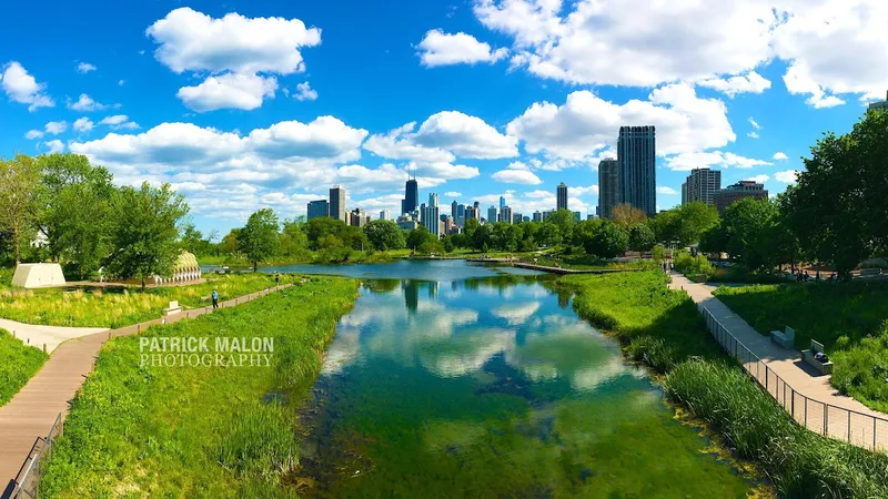 photo spots Nature Boardwalk at Lincoln Park Zoo