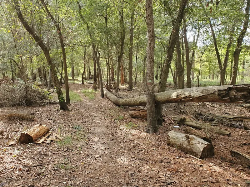 Hiking Trails Bear Creek to langham Creek Trail