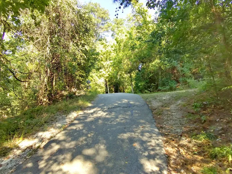 Hiking Trails Terry Hershey Trail Parking Lot/ Robin Trail