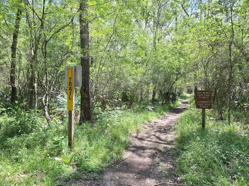 San Jacinto Trail Loop