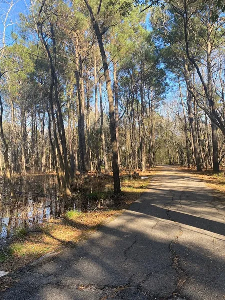 Hiking Trails Mayde Creek North Hike & Bike Trail