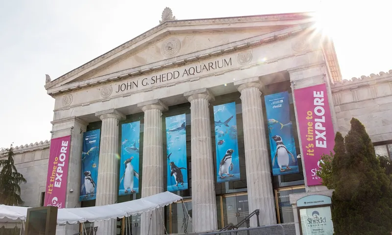 outdoor activities Shedd Aquarium