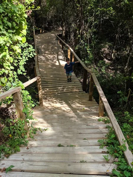 kid-friendly hiking trails 100 Acre Wood Preserve