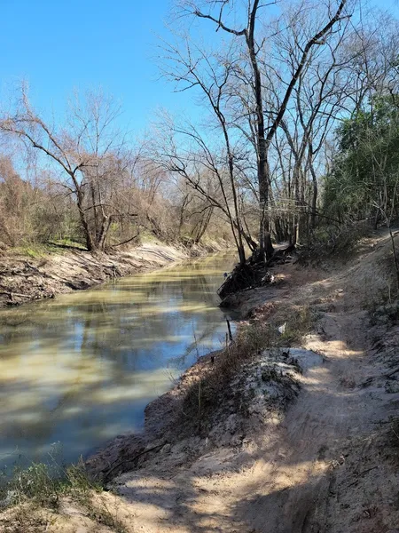 kid-friendly hiking trails Terry Hershey Hike Trail