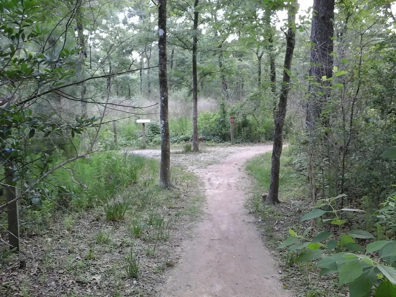 kid-friendly hiking trails Memorial Park Hike and Bike Trailhead