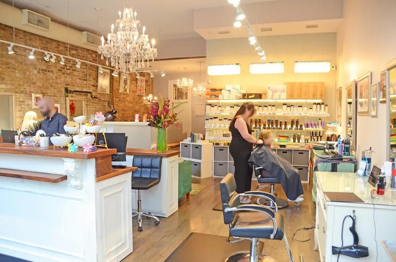 hair salons Salon Edda in Lincoln Park