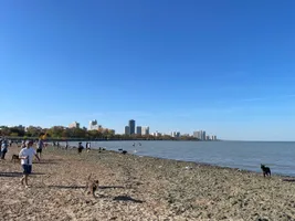 Best of 22 Dog parks in Chicago
