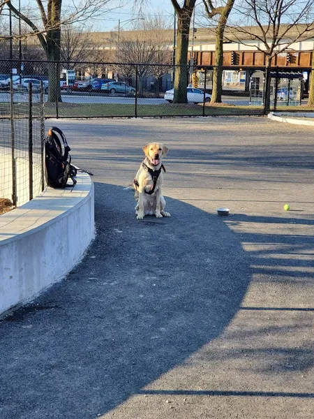 dog parks McKinley Dog Park