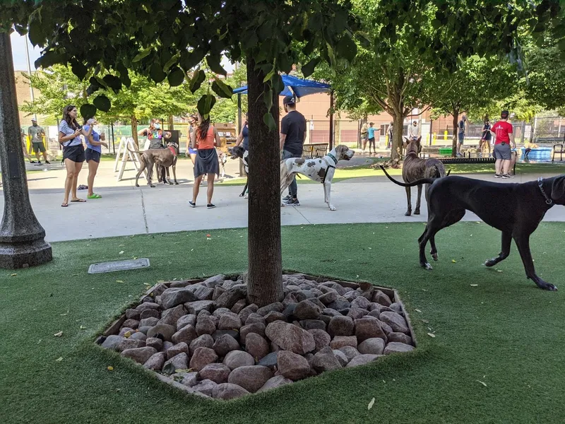 dog parks The West Loop 569 Bark Park - The West Loop 569 - The 569 Bark Park - Skinner Bark Park