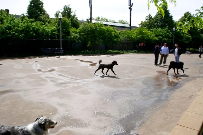 dog parks Grant Bark Park