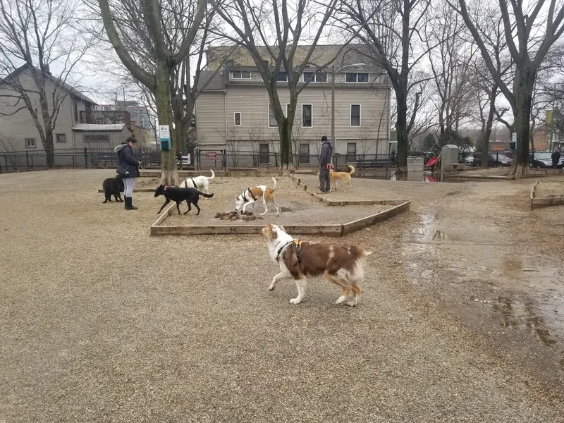 dog parks Wiggly Field Dog Park