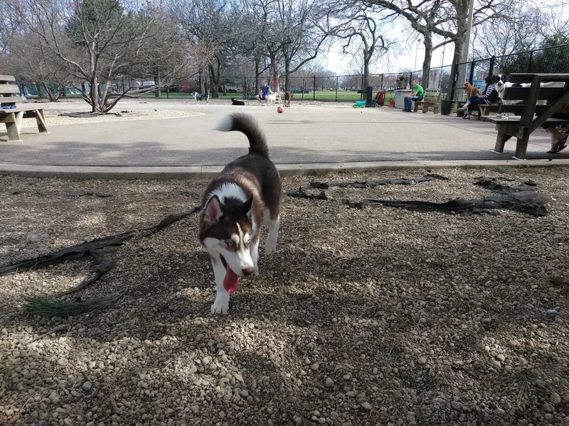 dog parks Norwood Park Dog Friendly Area